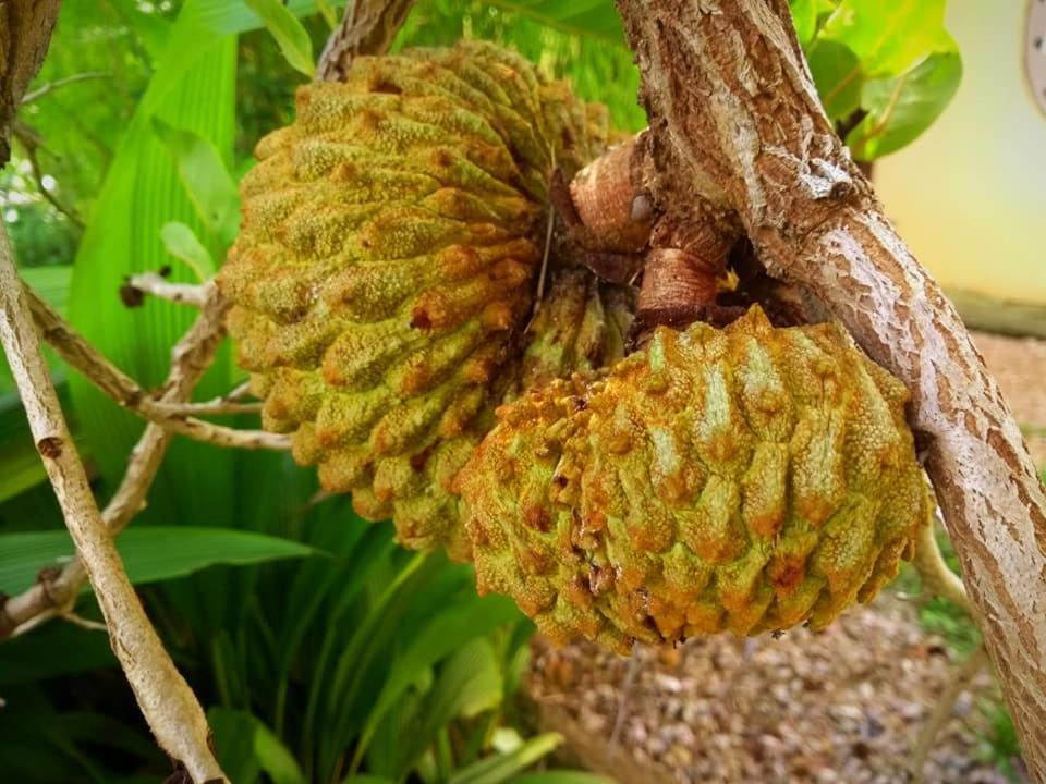 Paralelo 14 2* Alto Paraíso de Goiás